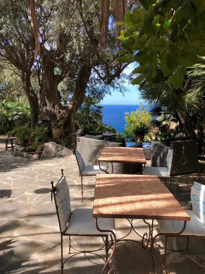 אסטלנצ'ס Sa Plana Petit Hotel מראה חיצוני תמונה